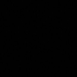 Meet your Posher, Max